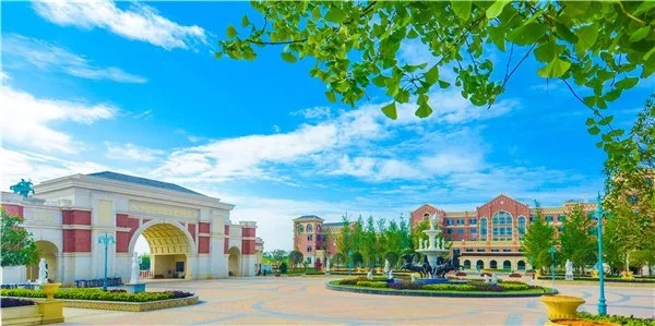 1579142293673060.jpg 640.webp (13).jpg