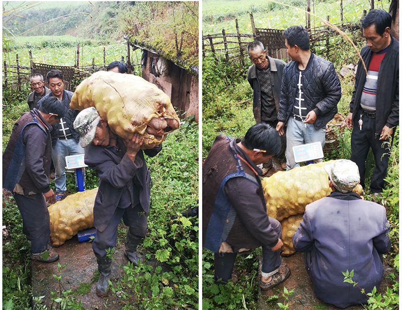 1634038872100354.png 屏幕快照 2021-10-12 17.03.09.png