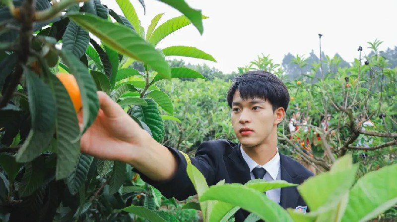 1653968082505150.jpg 61140.jpg