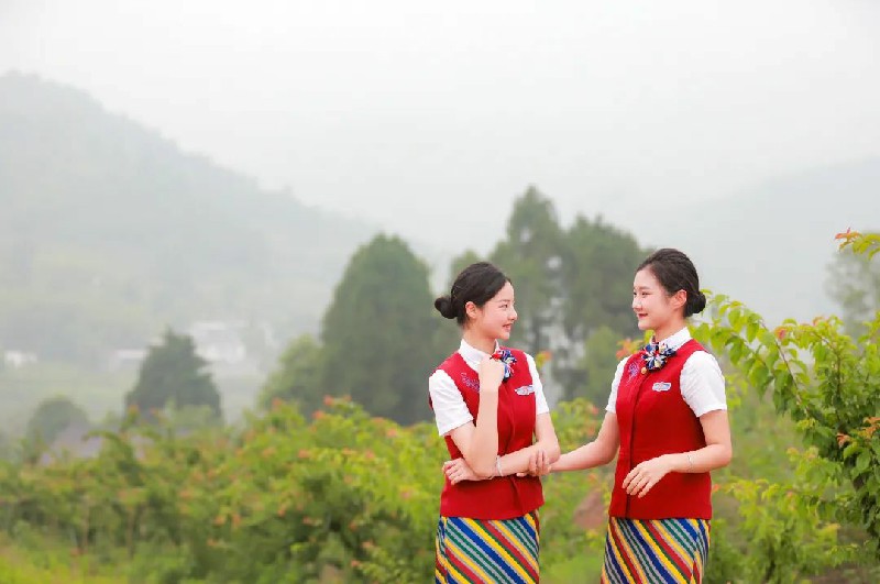 1653968181796174.jpg 640123.jpg