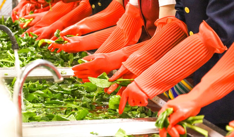 1678154069819239.jpg IMG_8649-4.jpg