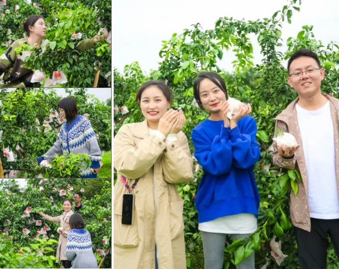 1699257017129538.jpg 11.jpg