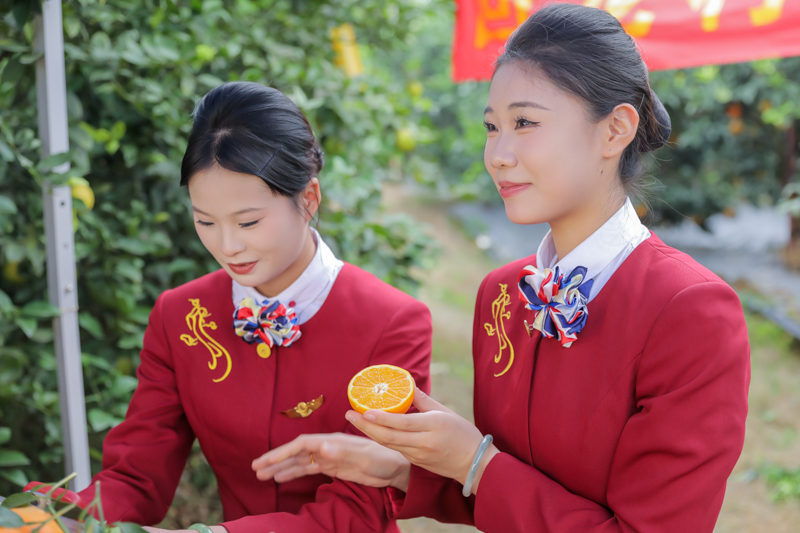 1732020249139336.jpg AZ2A1207.jpg