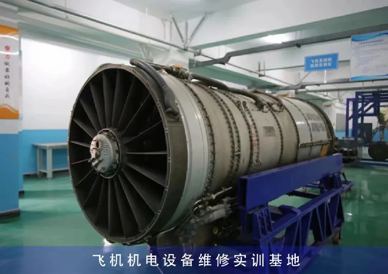 1741917561132808.jpg 4.jpg