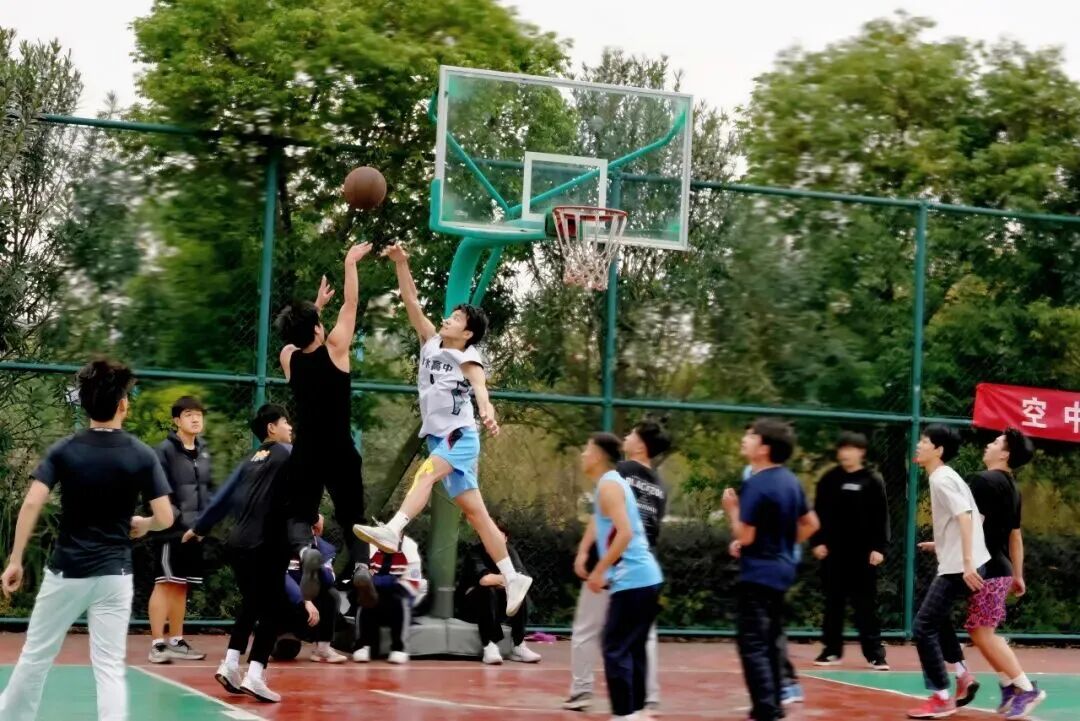 1766373704337455.jpg mmexport1766373502999.jpg