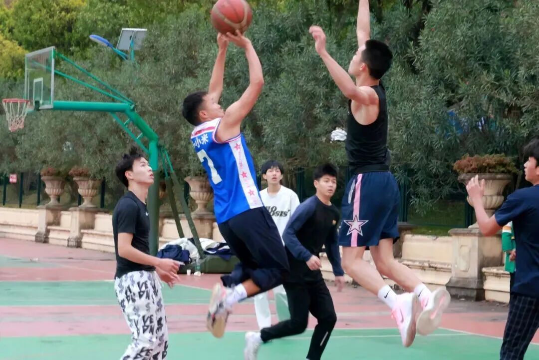 1766373758126186.jpg mmexport1766373508808.jpg